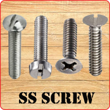 APL CSK SCREW